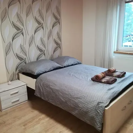 Sausage Dog's Apartment *
